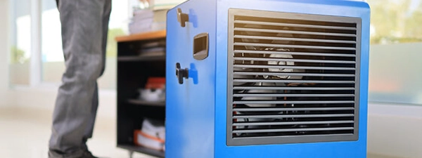 Which type of dehumidifier in 2024